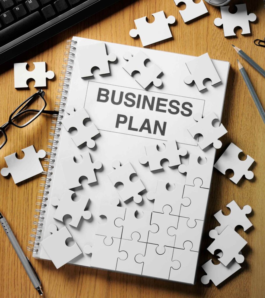 Business & Career Plan